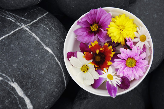 colorful flowers in bowl with stones
