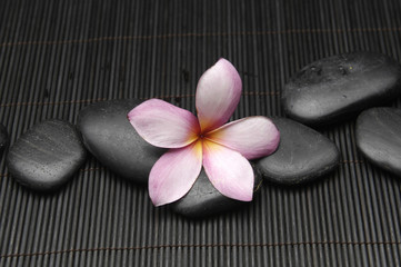 Spa stones and frangipani flower on bamboo mat