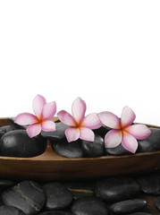 Bowl of frangipani on wood board with zen stones