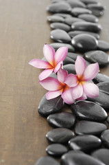Fototapeta na wymiar frangipani flower arranged stones on wooden board