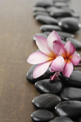 Fototapeta na wymiar Row of spa stones with frangipani flower