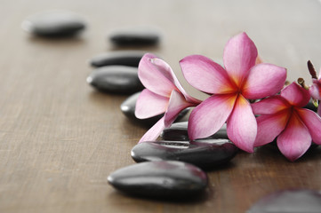 Obraz na płótnie Canvas zen stones with frangipani on wooden board