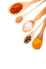 Wooden ladles with culinary spices