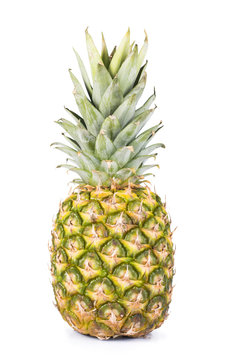 Pineapple fruit