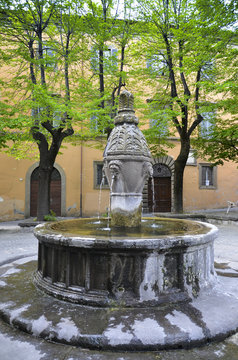 Fontana della Morte, Viterbo