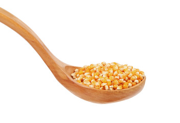Corn grain into wooden spoon.