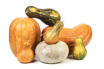 Composition of different kind pumpkins.