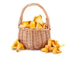 Chanterelle mushrooms in basket
