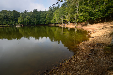 foresta Umbra - Parco nazionale del Gargano - Puglia