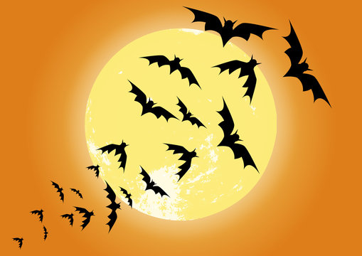72 Best Chauves Souris Images Stock Photos Vectors Adobe Stock
