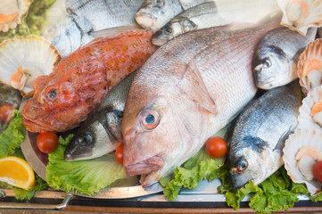 fish assortment