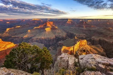 Photo sur Aluminium Parc naturel Horizontal view of Grand Canyon