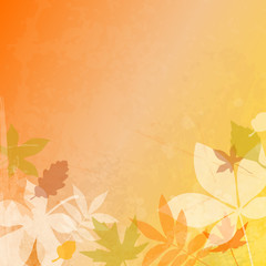 Autumn Paper Leafs