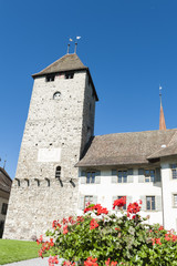 Fototapeta na wymiar Spiez, Thunersee mit Schloss Spiez und Schlosskirche