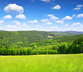 Spring landscape in the national park Sumava - Czech Republic