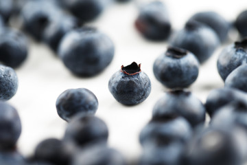 Organic blueberries on a white ceramic surface
