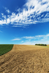 Landschaft Landwirtschaft