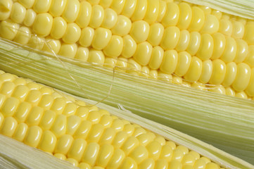 Corn