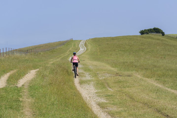 Fototapeta premium south downs