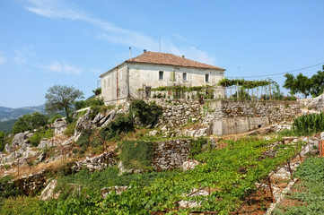 Fototapeta na wymiar Rural House On The Hill, Montenegro