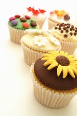 decorated cup cake selection on white