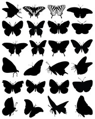 Silhouettes of butterflies-vector - obrazy, fototapety, plakaty