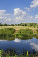 river sunlight