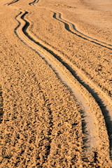 Segno ruota nella sabbia