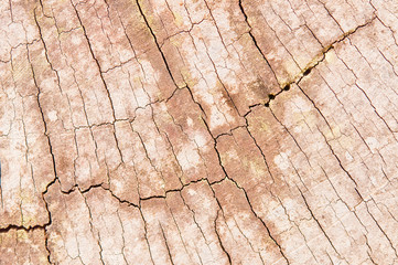 Pattern of wood.