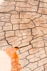 Pattern of wood.