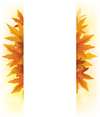 Banner of yellow maple leaves