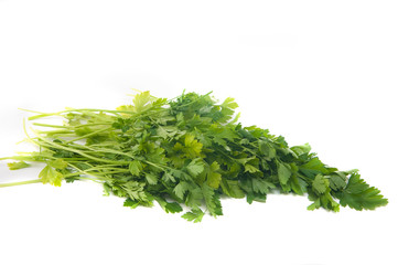 green leaves of parsley isolated on white background