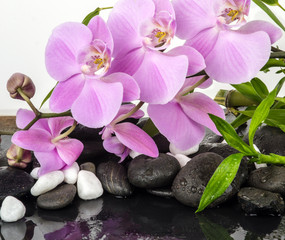 Fototapeta na wymiar Wellness Concept: orchids, bamboo, stone, water