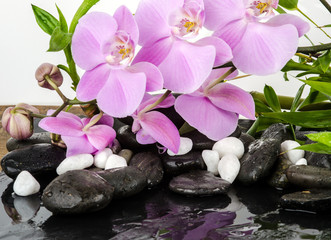 Obraz na płótnie Canvas Wellness-Konzept: Orchideen, Steine, Wasser, Bambus