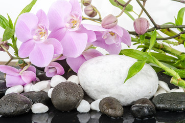 Fototapeta na wymiar Wellness: Orchideen, Steine, Wasser, Bambus
