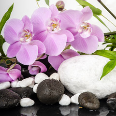 Wellness / Schönheit: Orchideen mit weißen und schwarzen Steinen