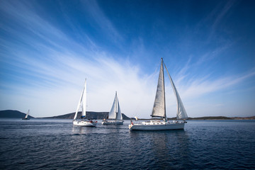 Cruise sailing. luxury yachts.