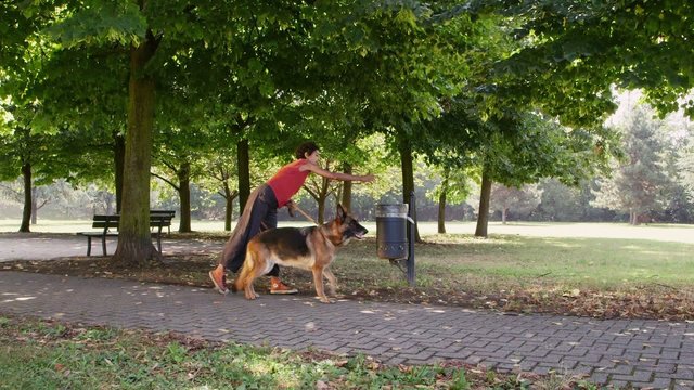 7of15 People, pets, dog sitter with alsatian dogs in park