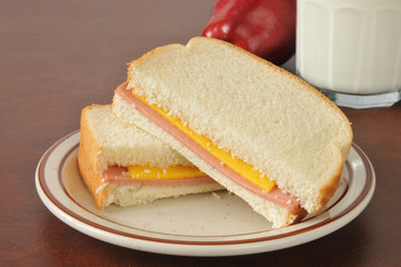 Baloney and cheese sandwich