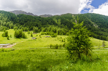 View of the Alps in Italy in summer