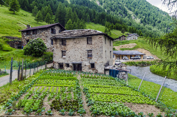 Naklejka premium Stone houses. Traditional alpine village in the mountains