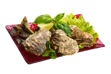 Fresh oyster