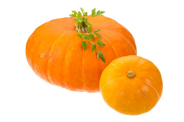 Ripe pumpkin