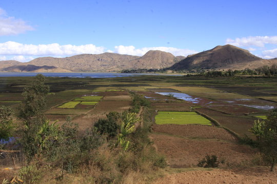 paysage agricole malgache