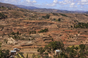 le plateau de l'Imerina