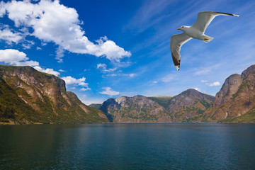 Fjord Naeroyfjord in Norway - famous UNESCO Site