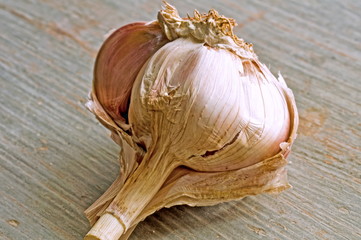 knoblauch