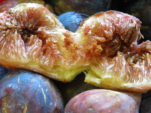 Fichi settembrini verdi e viola