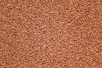 Raw buckwheat background
