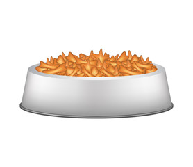 Pet food in silver bowl